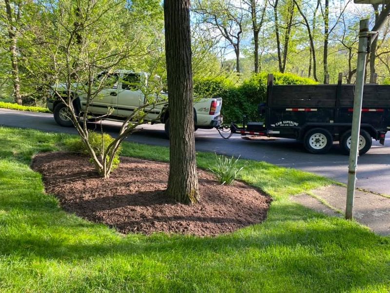 Land Clearing