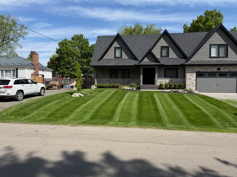 Lawn Mowing