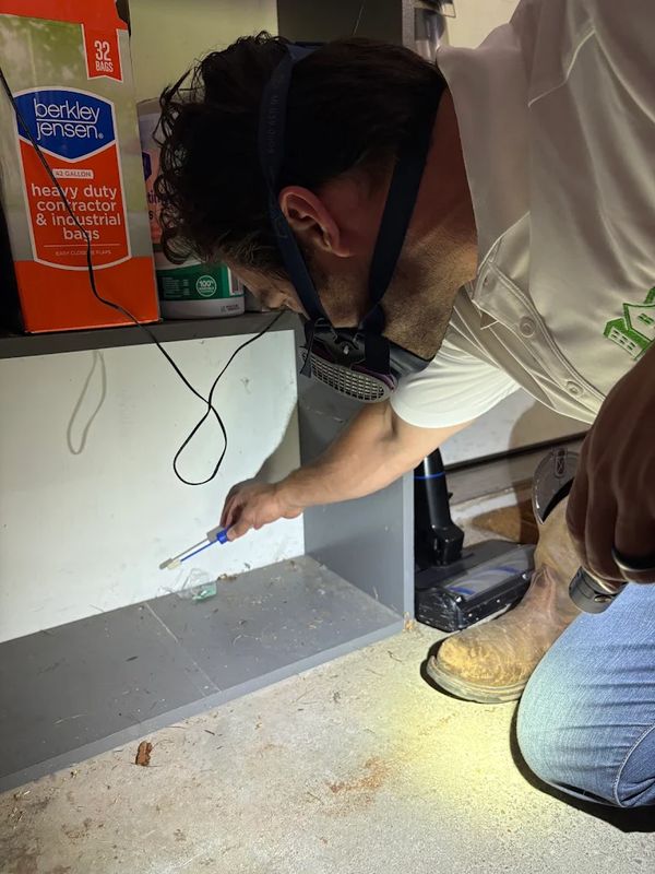 Mold Testing