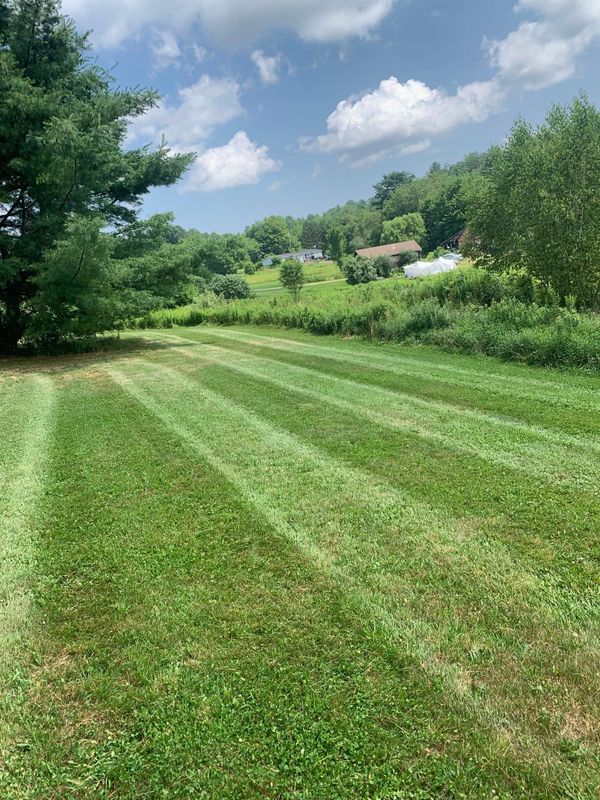 Lawn Maintenance