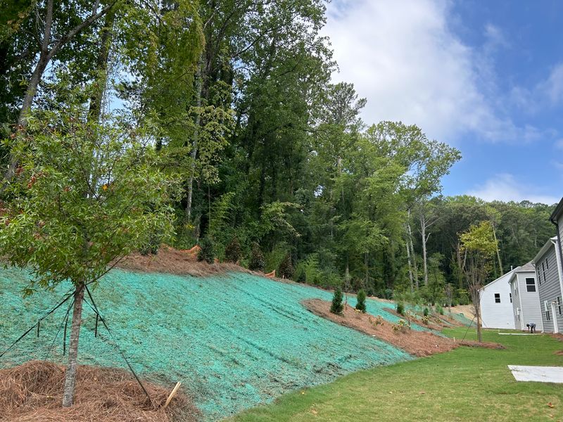 Hydroseeding gallery
