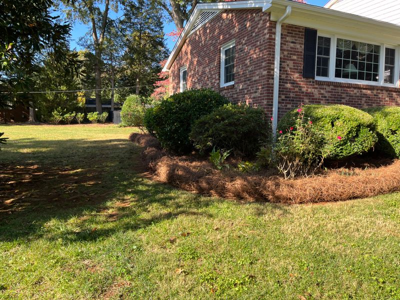 Pine Needle Installation