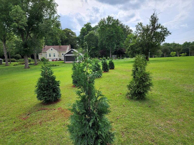 Lawn Care
