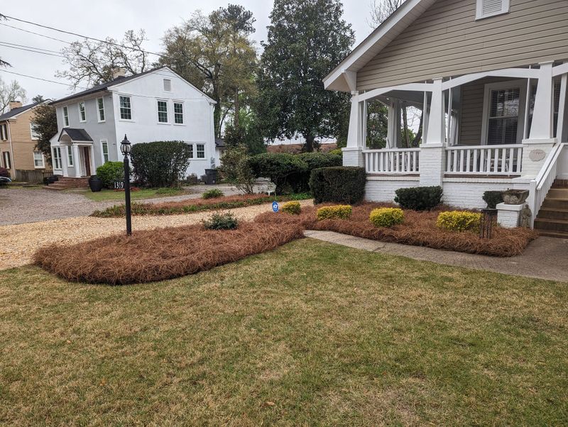 Tree & Shrub Care