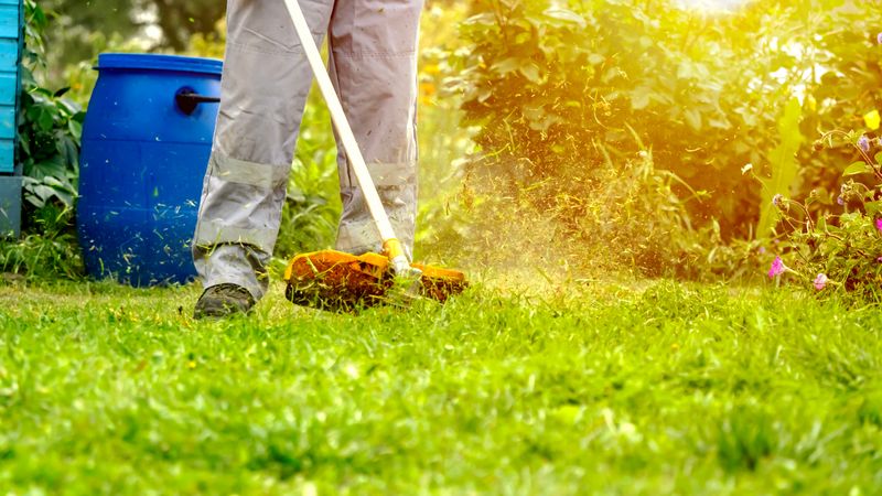 Grass Cutting