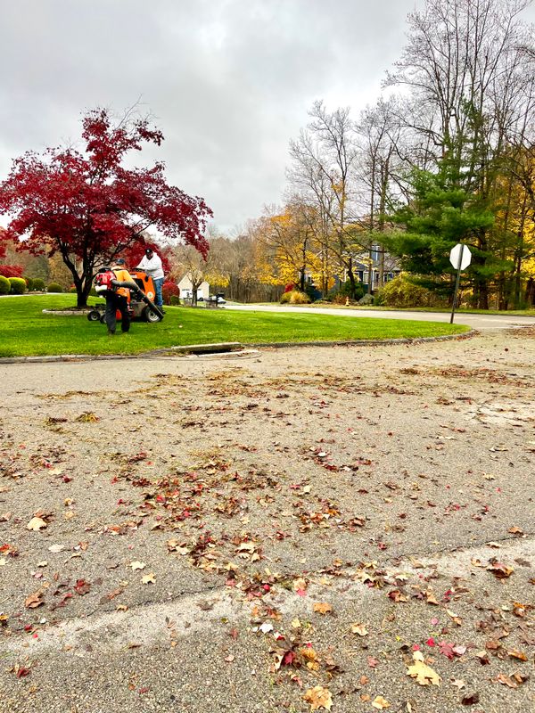 Fall Clean Up