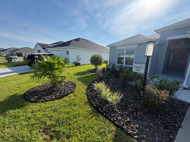 Tree & Shrub Care