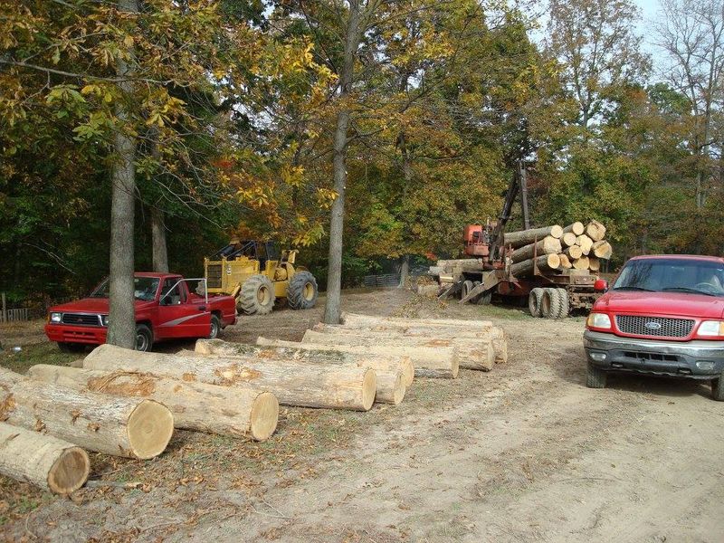 Logging gallery