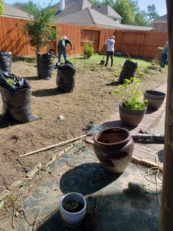 Landscaping