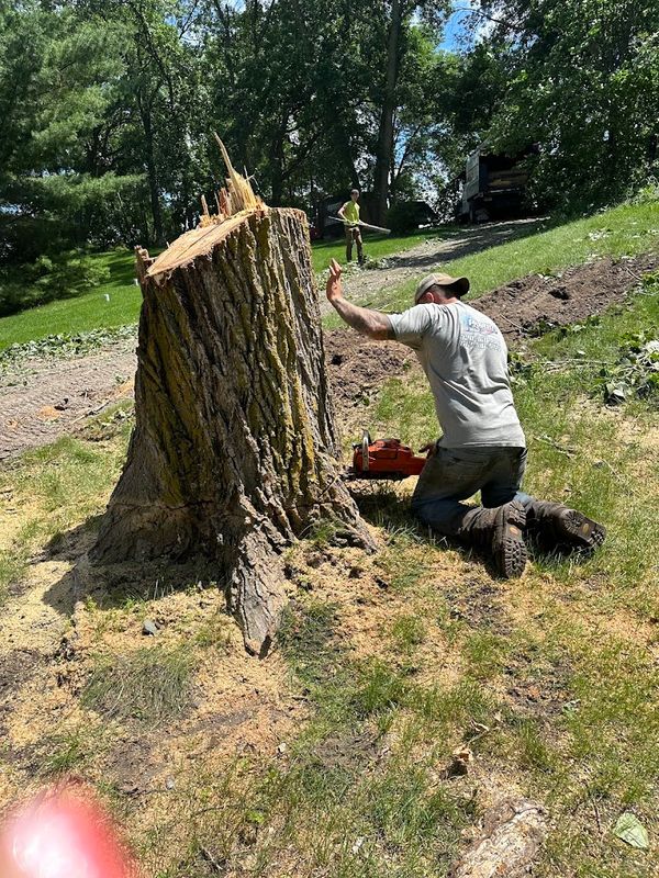 Tree Removal