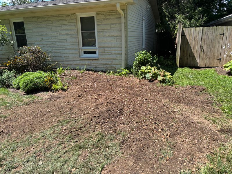 Stump Removal