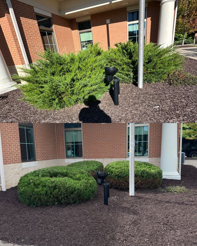 Landscaping