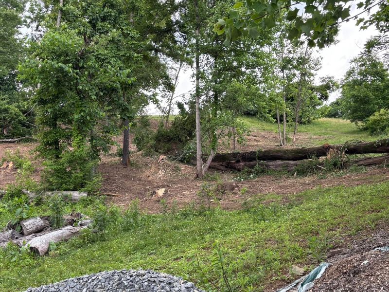 Forestry Mulching