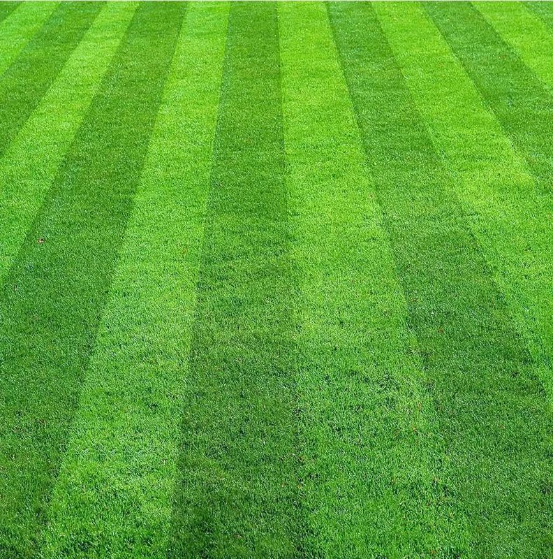 Commercial Lawn Maintenance