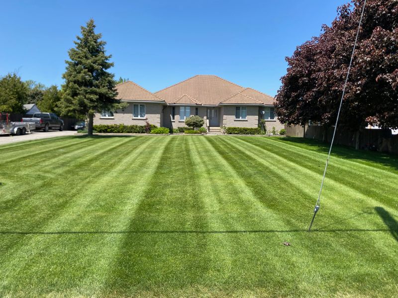 Lawn Mowing