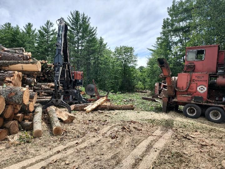 Tree Services