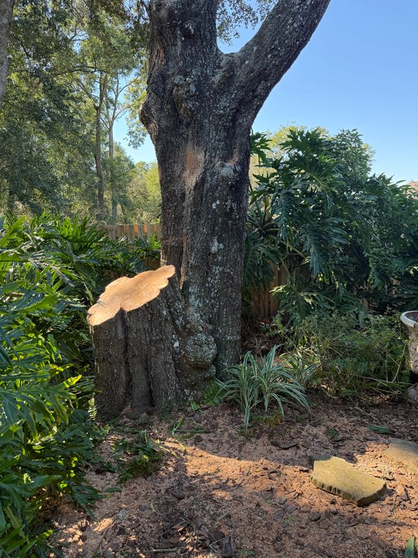Land Clearing