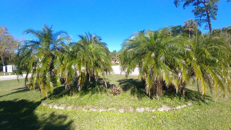 Hardscaping Landscaping