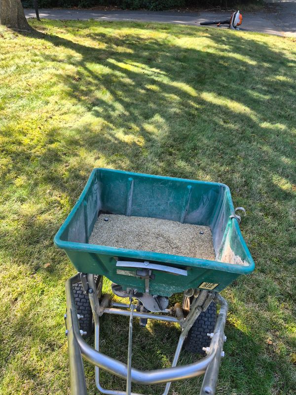 Lawn Maintenance