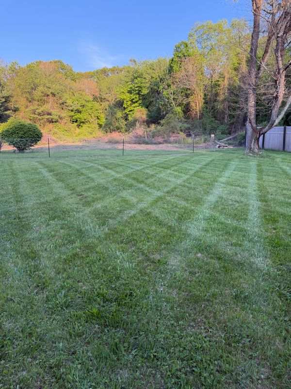 Premium Lawn Maintenance