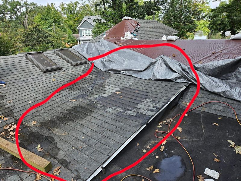 Shingle Roof Replacement