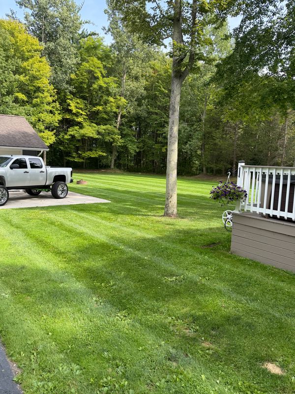 Lawn Mowing