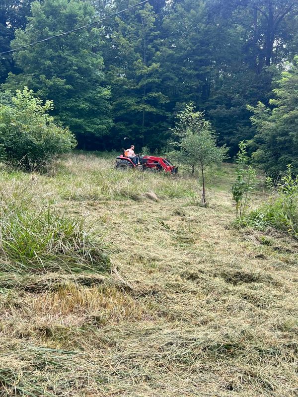 Land Clearing