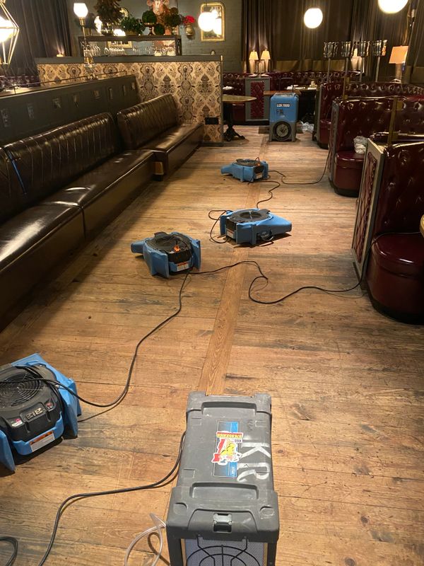 Upholstery Cleaning
