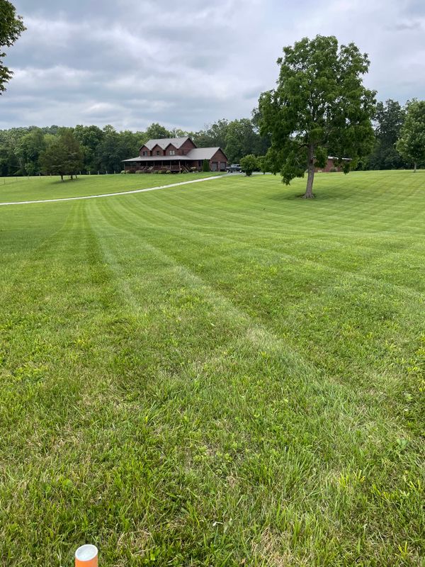 Commercial Mowing