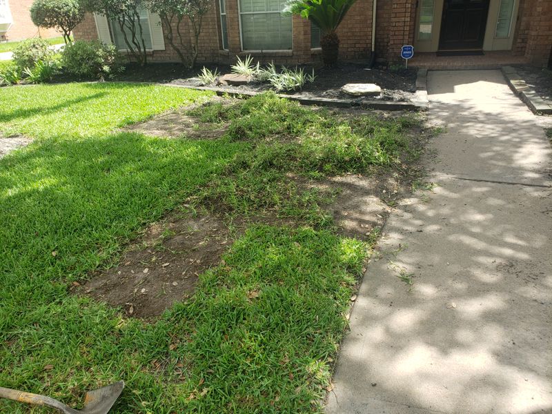 Landscaping Designs