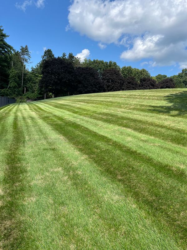 Lawn Maintenance