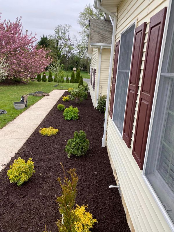 Mulch Installation