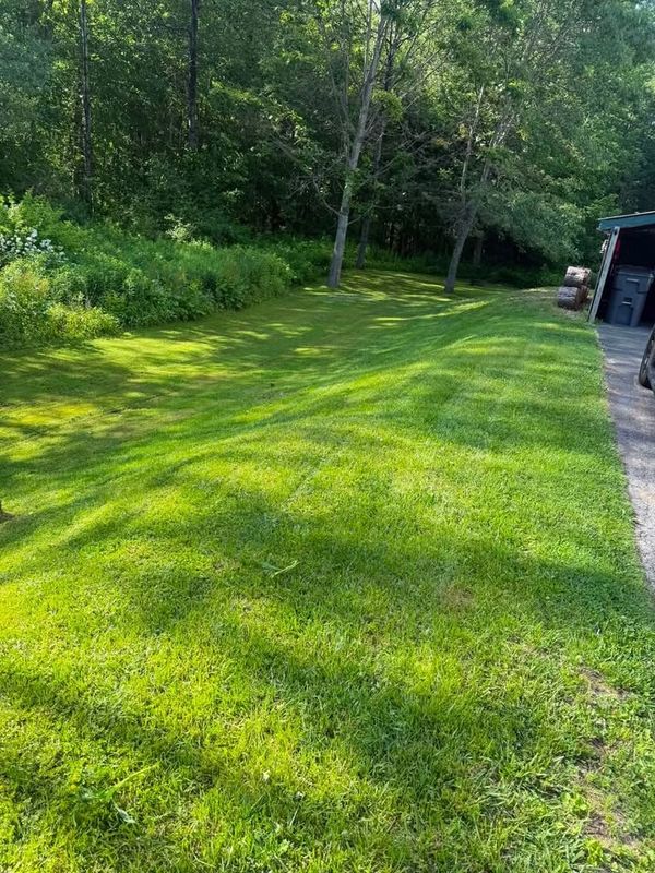 Lawn Care & Maintenance