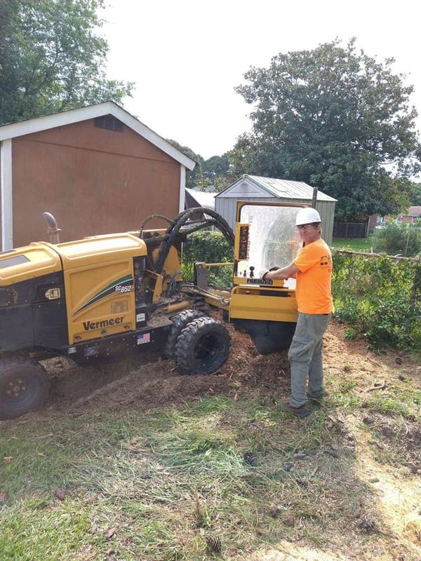 Stump Removal