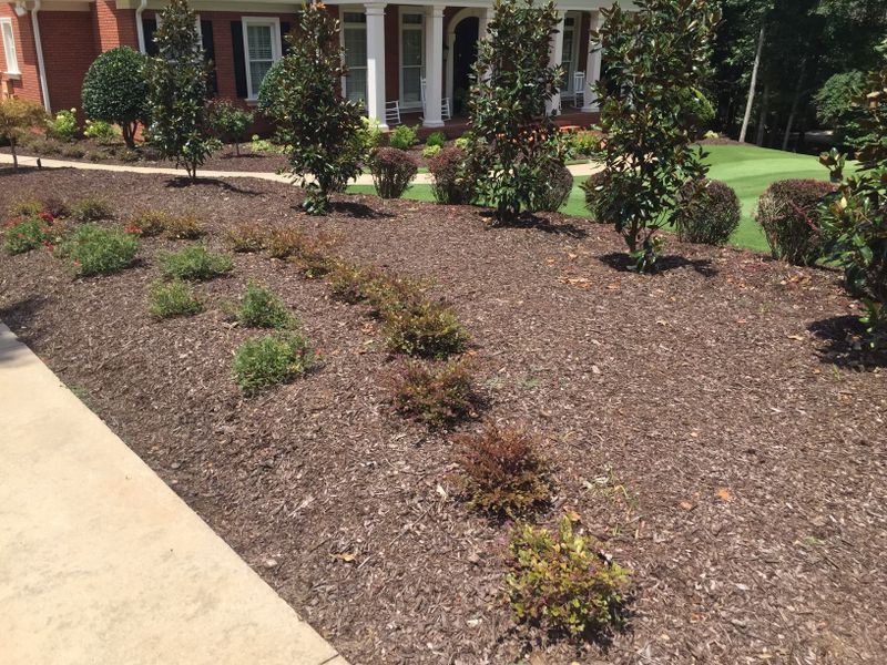 Landscaping