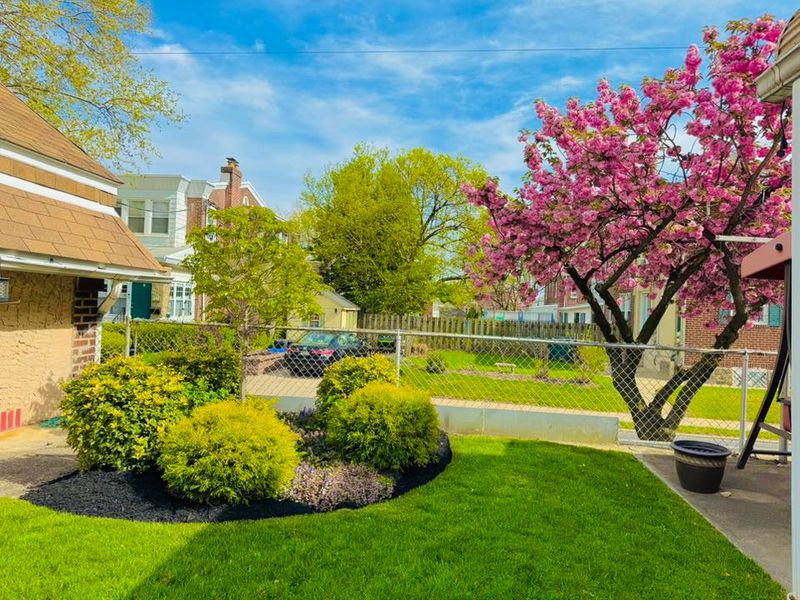 Tree & Shrub Care