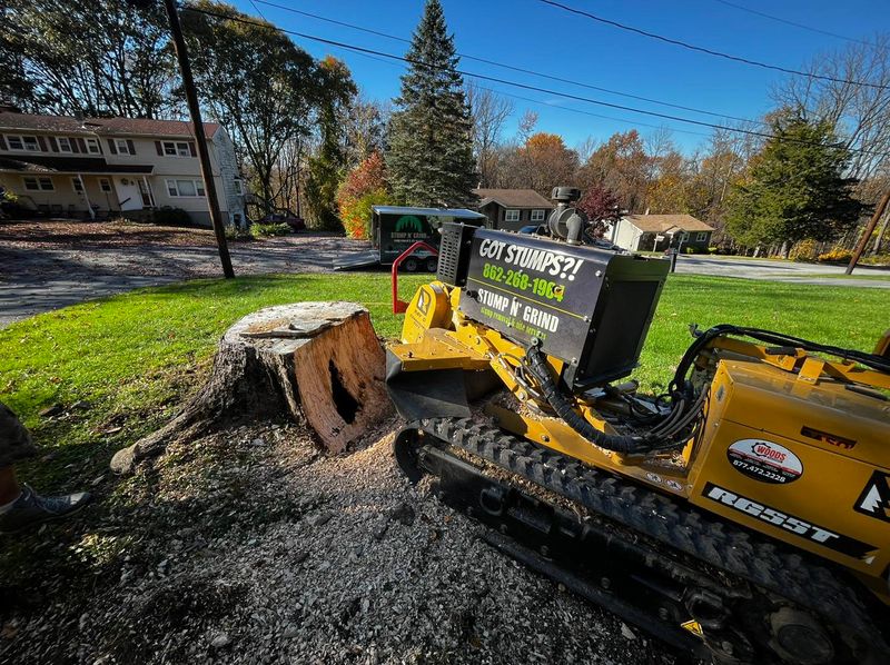 Stump Grinding