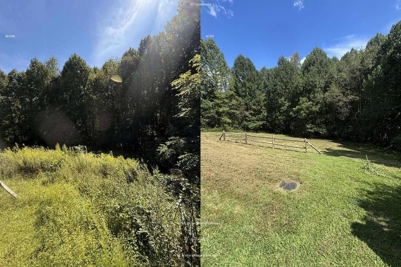 Lawn Maintenance