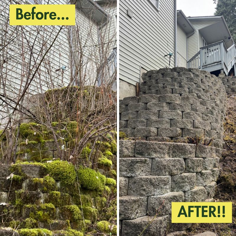 Before & After Photos