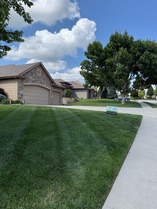 Lawn Maintenance