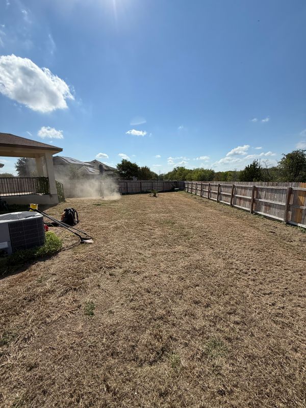 Lawn Aeration