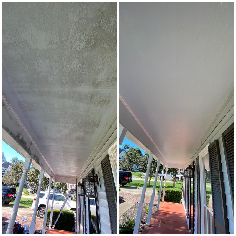 Mold & Mildew Removal