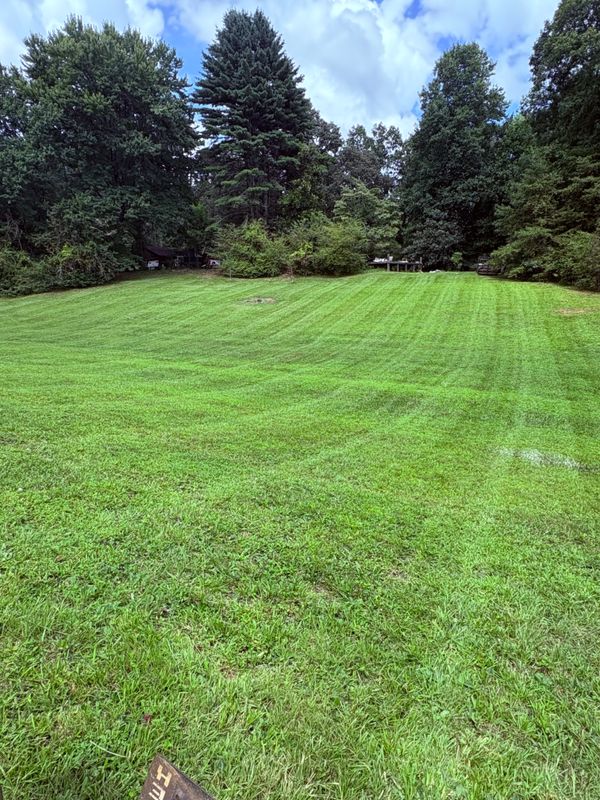 Mowing