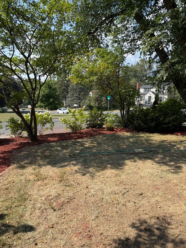 Landscaping