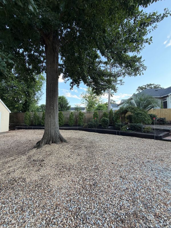 Landscape Design & Installation