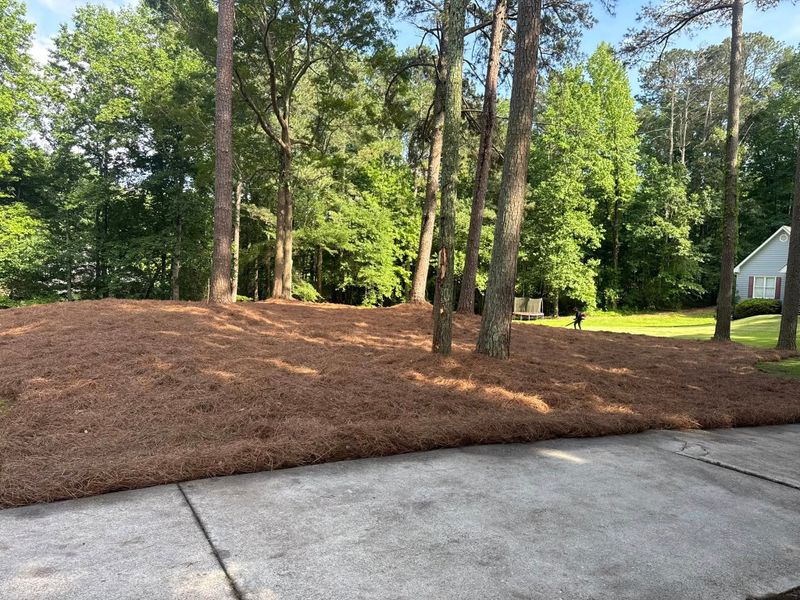 Landscape Design