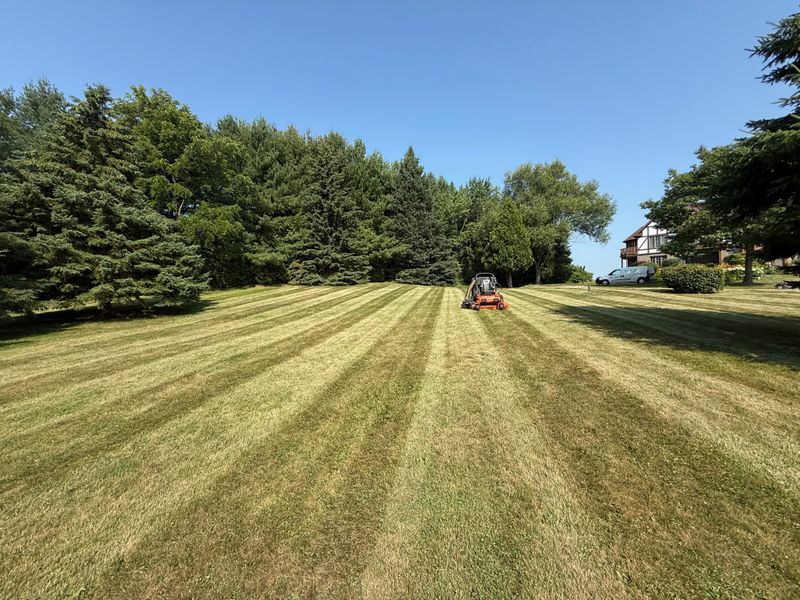 Lawn Mowing