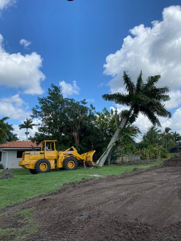 Site Preparation