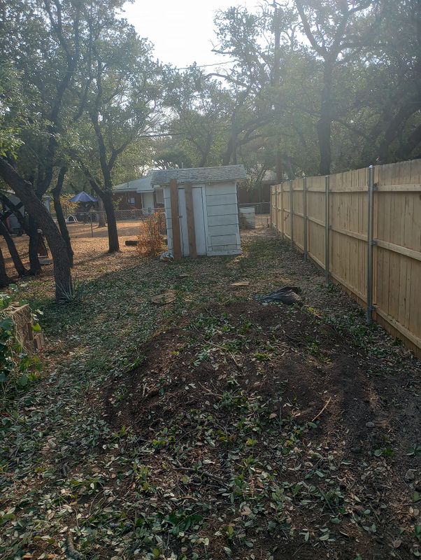Tree Removal gallery