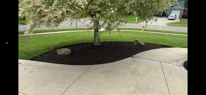 Lawn Care